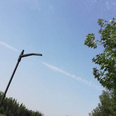 猫屋虐猫致4只猫死